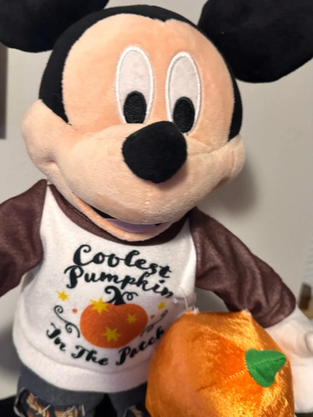 N/A disney fall